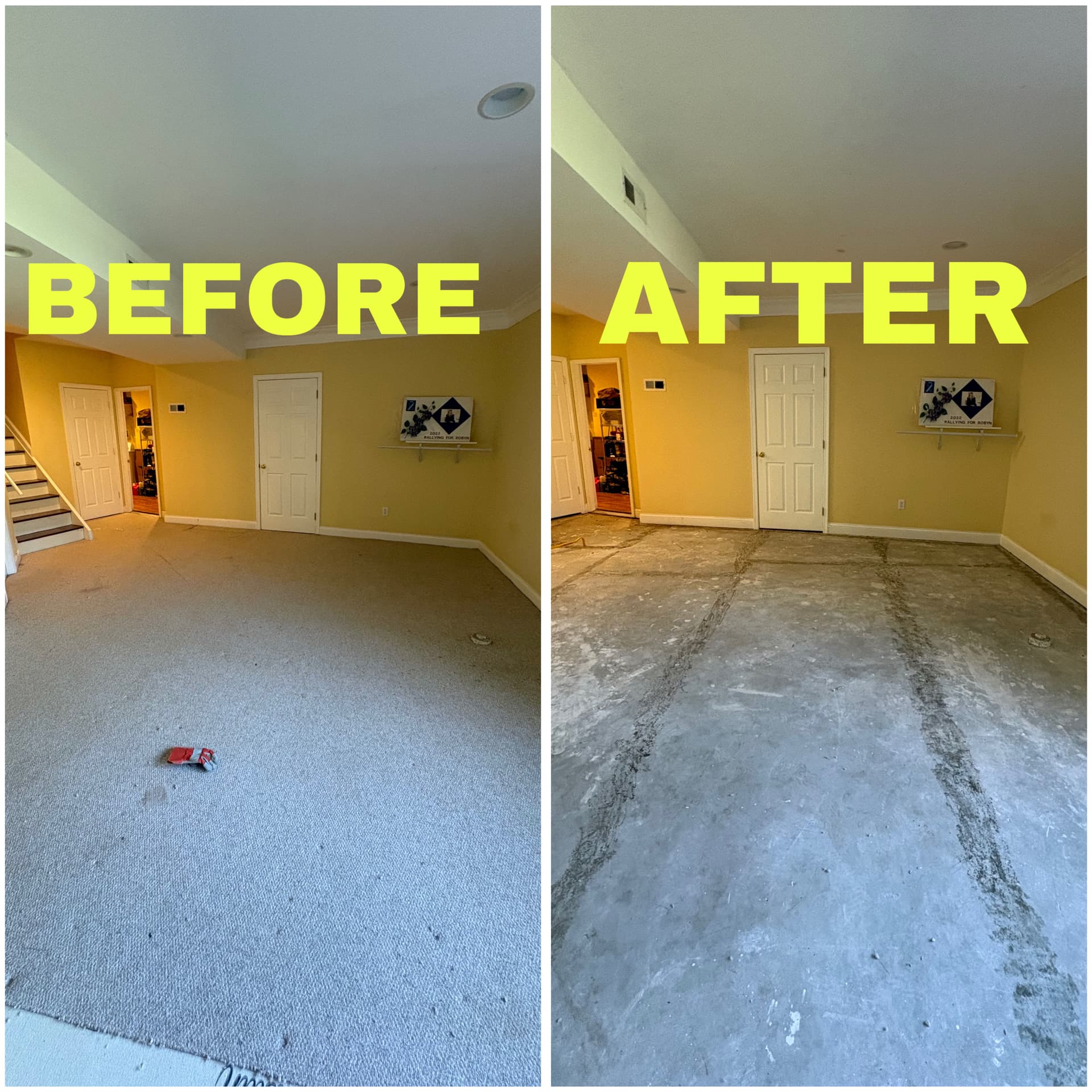 Old Basement Carpet Pulled Out and Hauled Away in Princeton NJ