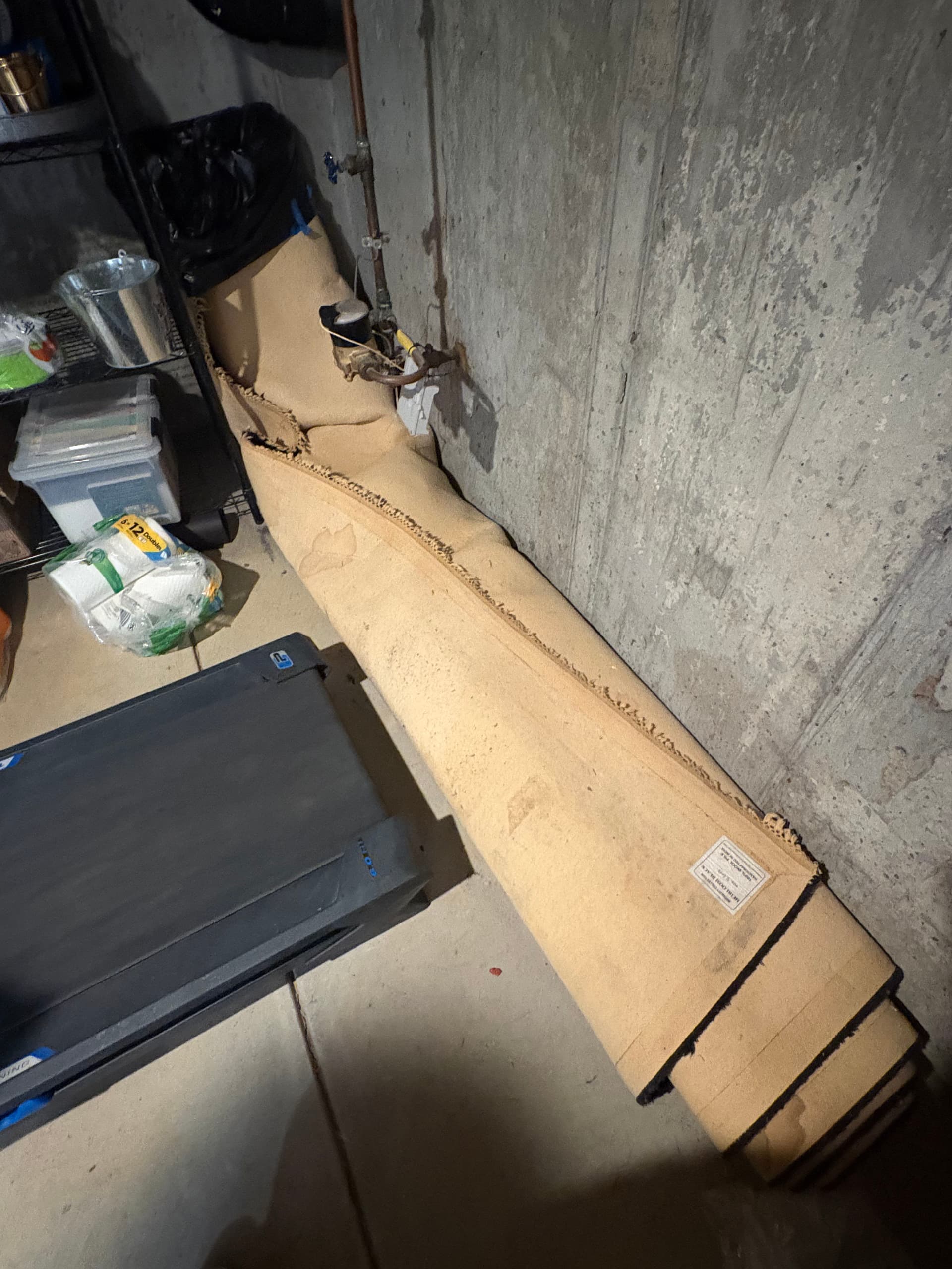 Old Carpet Pulled Out of a Woolwich Basement